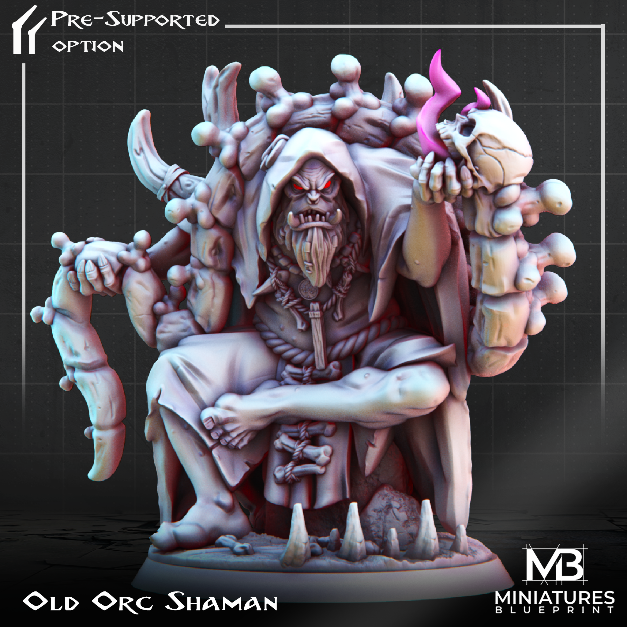 Old Orc Shaman